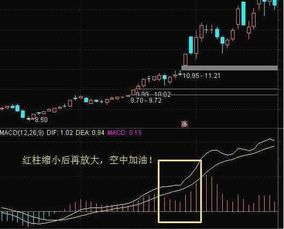 史上最强的MACD买卖口诀，背起来，知买卖，简单易学！