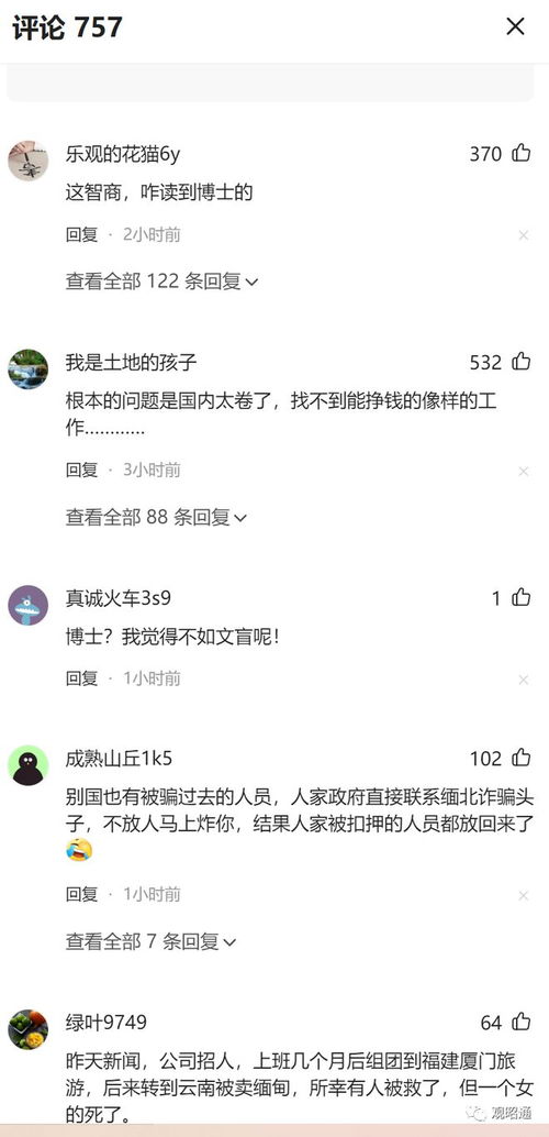 博士生误入缅甸陷阱，一年煎熬求援无门