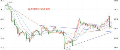 ADP币有风险吗