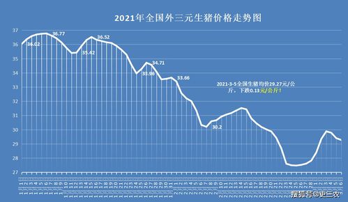 2024年瑞波币还能涨回20块吗？