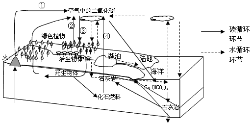 全球气候变暖对什么产业造成的影响最大