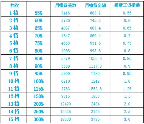 邢台灵活就业养老保险截止日期灵活就业保险缴费截止时间