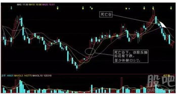 股价到顶下跌时，按先后顺序应跌破那几条均线（写出四条）