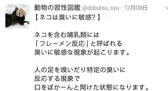 日本博主的动物习性冷知识小课堂,网友 可爱到想把所有动物打包回家