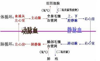 2015年8月12日晚11时许,天宁滨海新区某集团集装箱码头发生爆炸,消防人员不怕牺牲,奋力灭火救人.请根据图回答下列问题 1 无论自救还是他救,都必须首先保证过程 