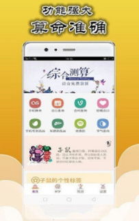 诸葛神算app官网版下载 诸葛神算测字抽签解签软件app最新版v1.0.1下载 飞翔下载 