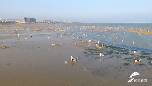 岚山多岛海赶海园收费吗(日照岚山多岛海免费停车场)