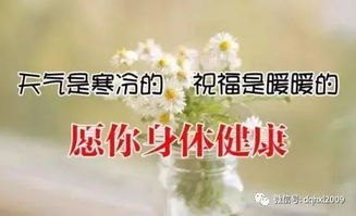 冬天天冷了,一份暖心祝福送给我的朋友