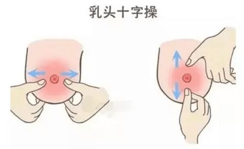 促进母乳喂养成功秘笈,正在哺乳的妈妈一定要看