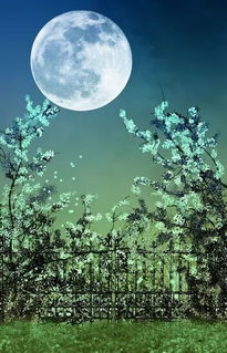 口琴 月亮代表我的心 ,万般柔情,听醉了心