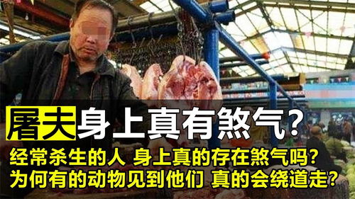 为何动物会惧怕屠夫难道杀生之后身上真的会有“煞气”的存在(为什么动物都怕人类)