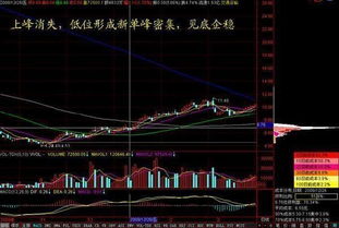 中国玩股票的人 有 多少