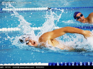 男子体育竞技运动游泳 