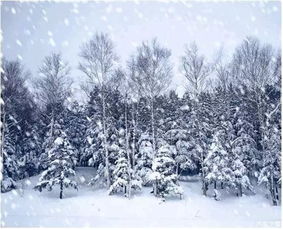 今年冬天回下雪吗？