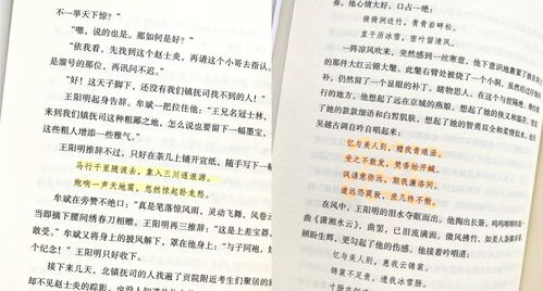 与孔圣人比肩,500年难得一遇的男人 读懂他,人生如有神助