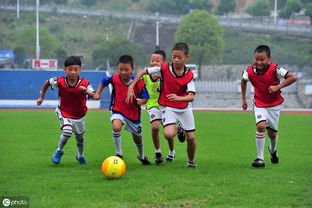中国足球为什么那么老鼠