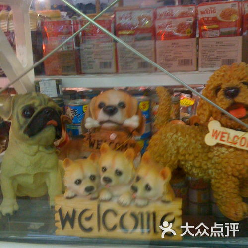 大连市中山公园宠物花卉市场大连市中山公园宠物花卉市场图片 北京公园 大众点评网 