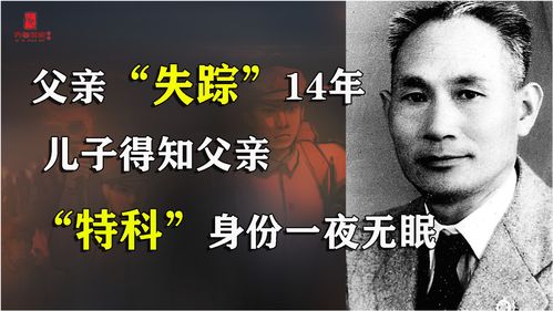 父亲 失踪 14年,别人说他是特工,1949年儿子得知详情一夜无眠 