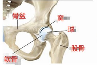 跑步造成髋关节疼痛的10个常见原因