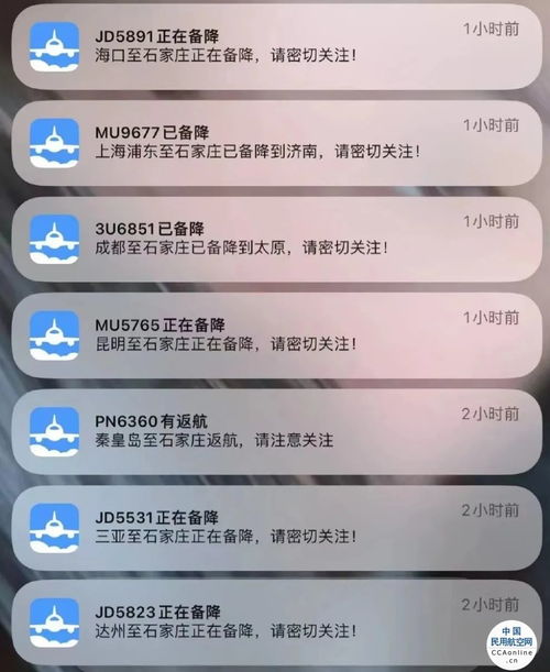 石家庄 多航班备降 上热搜 官方回应来了