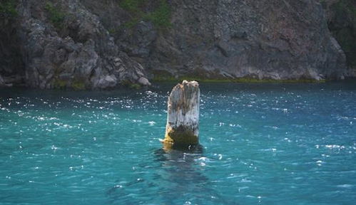 梦见在水里漂浮着木头