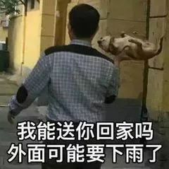 表情包 你看我 人畜无害