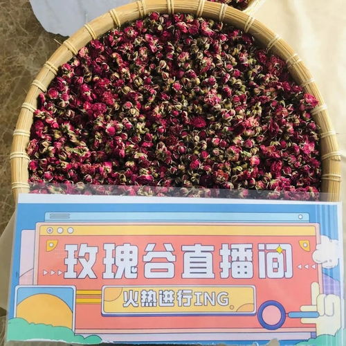 花茶直播 我们一起看过花花世界,也别错过香香花茶哦