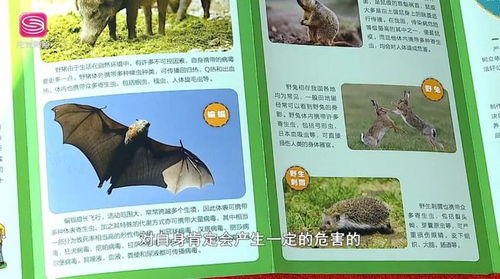 重庆启动野生动物保护宣传月活动