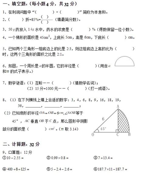 北京市人朝分小学升初中数学试卷