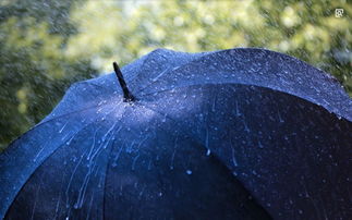 下雨天雨伞唯美图片 