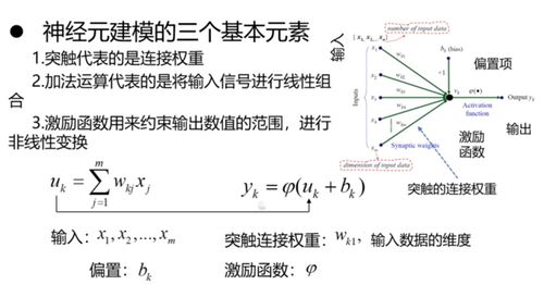 追踪历史，揭开神秘面纱-深度解析澳彩全年图库历史记录