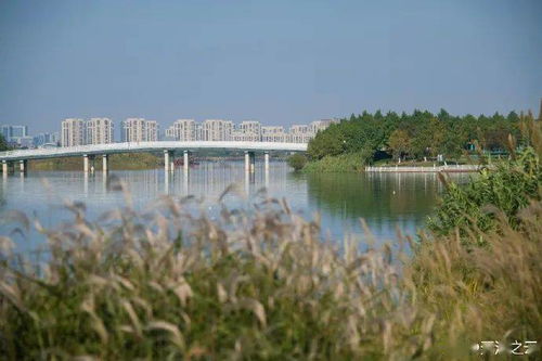 无锡贡湖湾彩虹步道地址及交通指南(贡湖湾免费停车场电话多少)