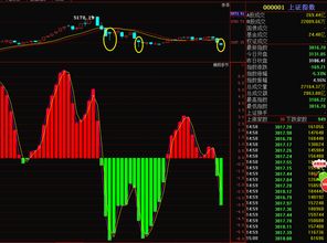 短线：出现怎样的情况可以抄底