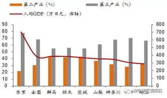 大压查重未来发展趋势