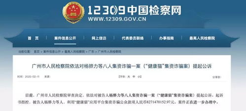 82.7亿 健康猫集资诈骗涉案金额公布,广州检察院已提起公诉 