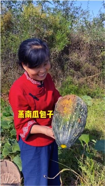 今年南瓜丰收了,今天和媳妇去地里摘几个回家蒸南瓜包子,家常做法保证大家都能学的会 