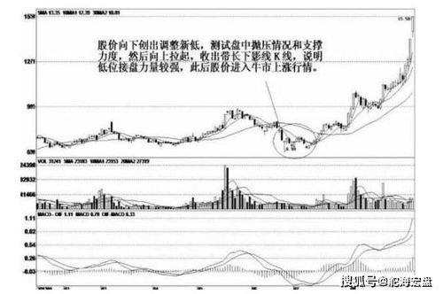 股市中，主力是什么？多大资金才能算是主力？怎么计算？