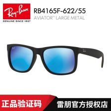 Ray Ban雷朋中性款树脂镜片大框架墨镜太阳镜RB4165 