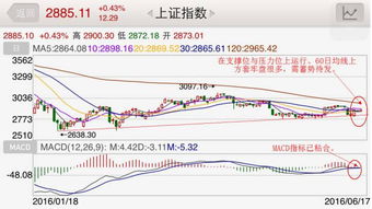 煤炭次新股有哪些