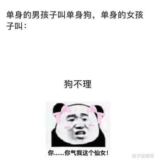 这是什么意思啊