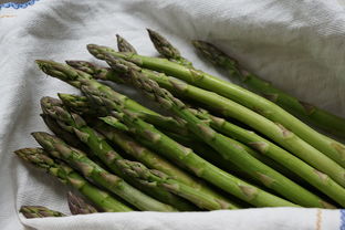 夏季应季蔬菜品种（夏季应季蔬菜水果