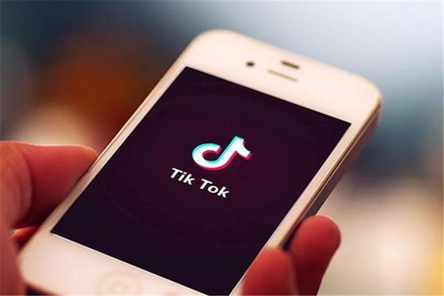 TikTok海外营销品牌广告的创新玩法有哪些_tiktok廣告形式