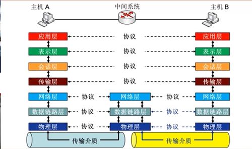 理气六爻内部结构图