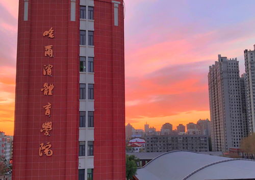 黑龙江省专科学校排名2021最新排名,黑龙江好的专科院校(图2)