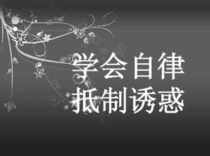 生肖兔2019年运势及运程详解