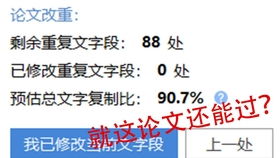 论文查重率到90怎么办