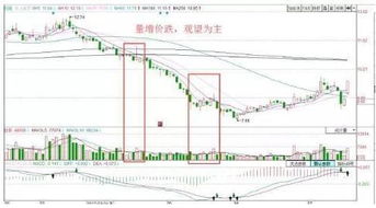 哪位股市大虾能给我解释下今天的株冶集团的巨量托单是什么意思吗，主力有何意图呀？！