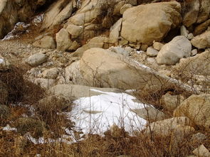 山沟沟的石头