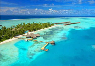 马尔代夫Dusit岛海滩度假胜地的绝佳去处