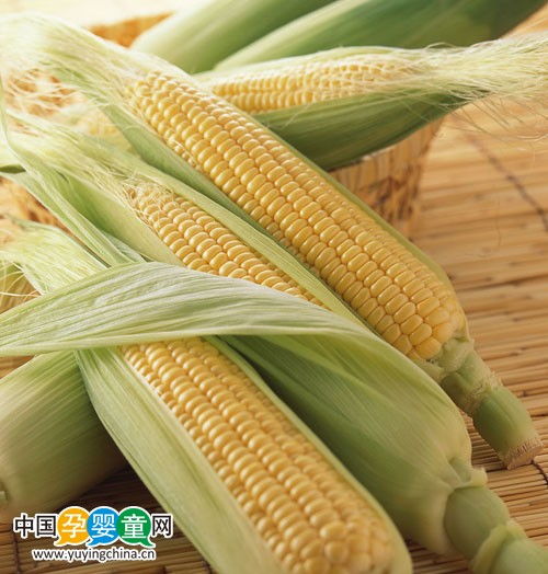营养专家表示 孕妇吃嫩玉米有助于孕期安胎